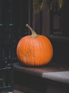 Preview wallpaper pumpkin, autumn, harvest