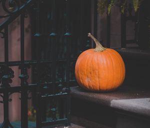 Preview wallpaper pumpkin, autumn, harvest