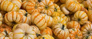 Preview wallpaper pumpkin, autumn, harvest, vegetable