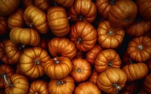 Preview wallpaper pumpkin, autumn, harvest, vegetables
