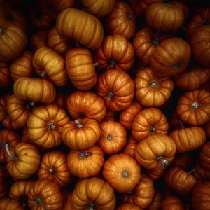 Preview wallpaper pumpkin, autumn, harvest, vegetables