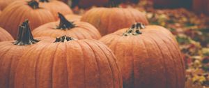 Preview wallpaper pumpkin, autumn, harvest, orange
