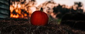 Preview wallpaper pumpkin, autumn, hay, blur