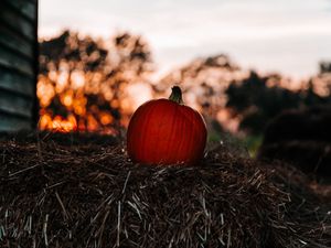 Preview wallpaper pumpkin, autumn, hay, blur