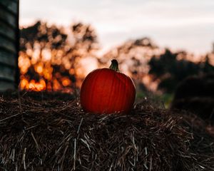 Preview wallpaper pumpkin, autumn, hay, blur