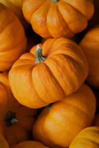 Preview wallpaper pumpkin, autumn, vegetable