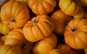 Preview wallpaper pumpkin, autumn, vegetable