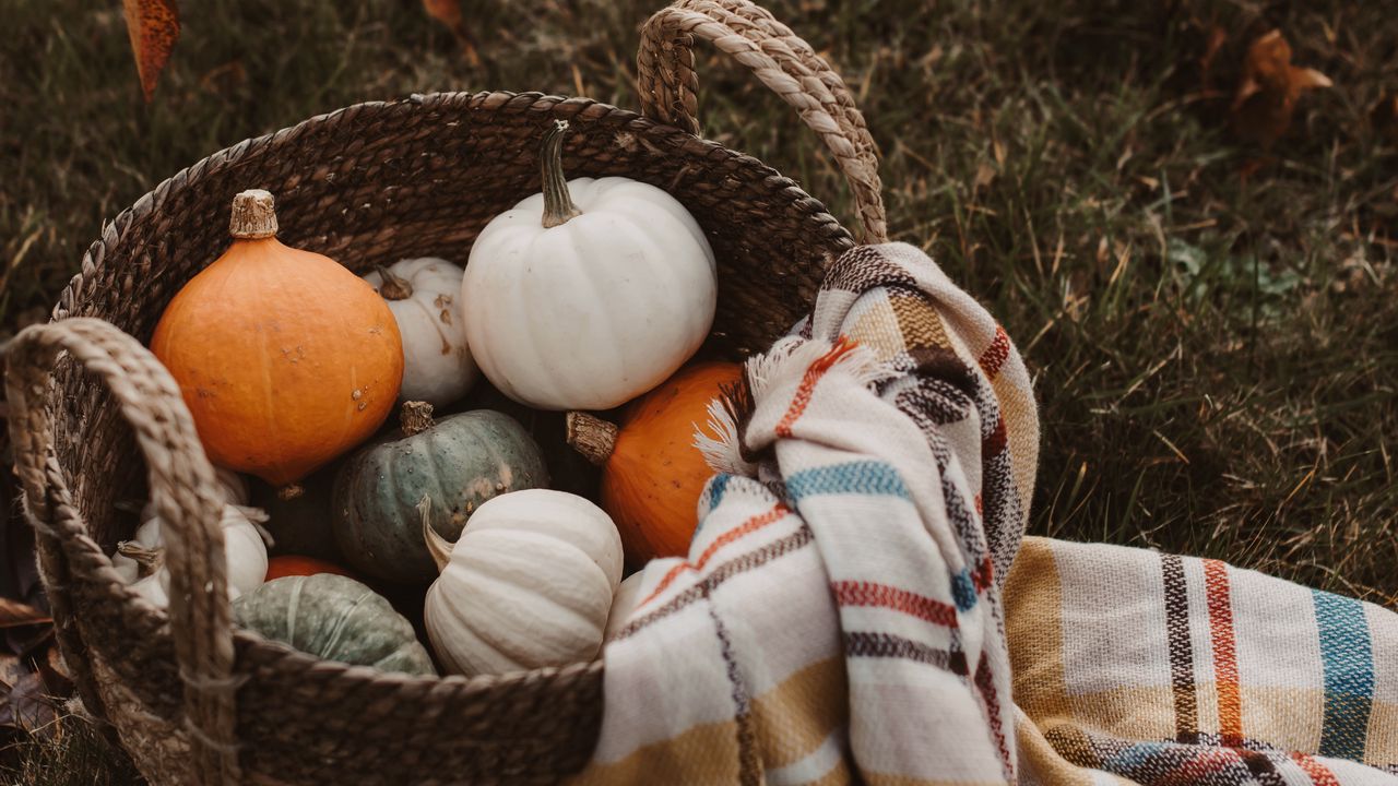 Wallpaper pumpkin, basket, plaid, autumn, harvest