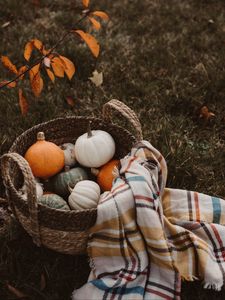 Preview wallpaper pumpkin, basket, plaid, autumn, harvest