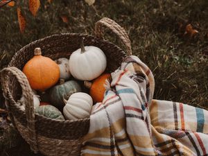 Preview wallpaper pumpkin, basket, plaid, autumn, harvest