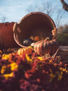 Preview wallpaper pumpkin, basket, straw, autumn, harvest