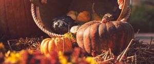 Preview wallpaper pumpkin, basket, straw, autumn, harvest