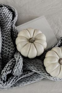 Preview wallpaper pumpkin, book, fabric, autumn, comfort