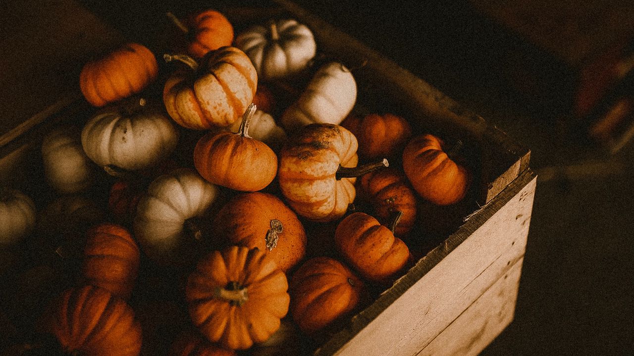 Wallpaper pumpkin, box, harvest, ripe