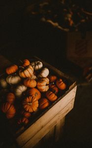 Preview wallpaper pumpkin, box, harvest, ripe