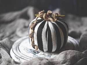 Preview wallpaper pumpkin, fabric, stripes, rope