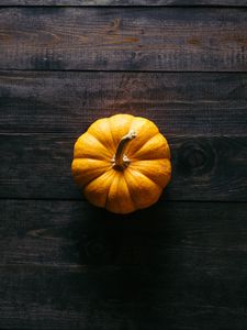 Preview wallpaper pumpkin, floor, wooden, shadow