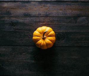 Preview wallpaper pumpkin, floor, wooden, shadow