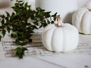 Preview wallpaper pumpkin, flowers, branch, berries