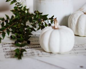 Preview wallpaper pumpkin, flowers, branch, berries