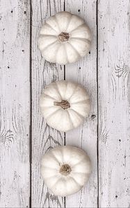 Preview wallpaper pumpkin, fruit, minimalism, white