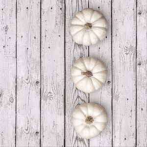 Preview wallpaper pumpkin, fruit, minimalism, white