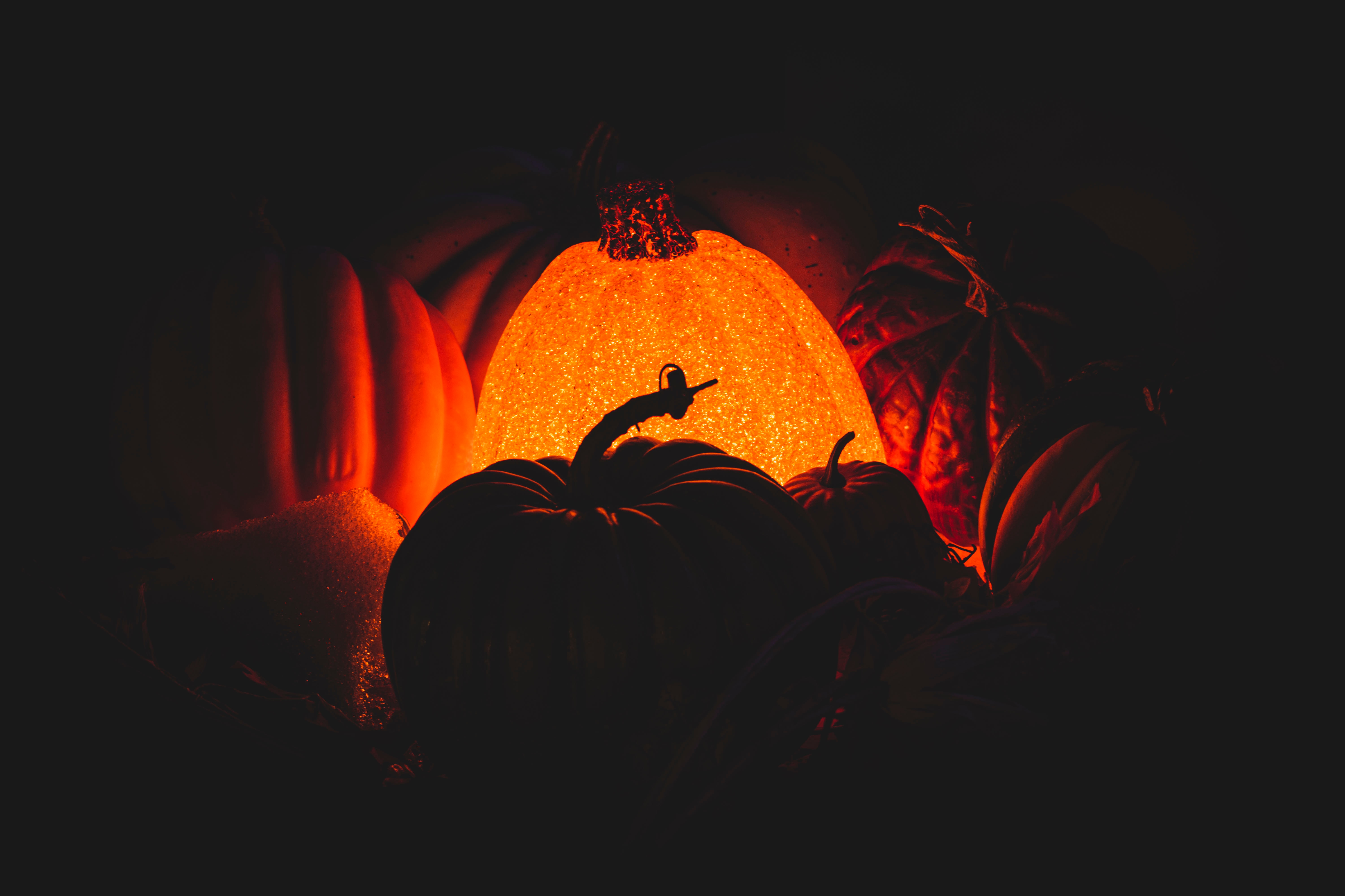 Download wallpaper 6000x4000 pumpkin, glow, dark, darkness hd background