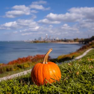 Preview wallpaper pumpkin, grass, sea, view