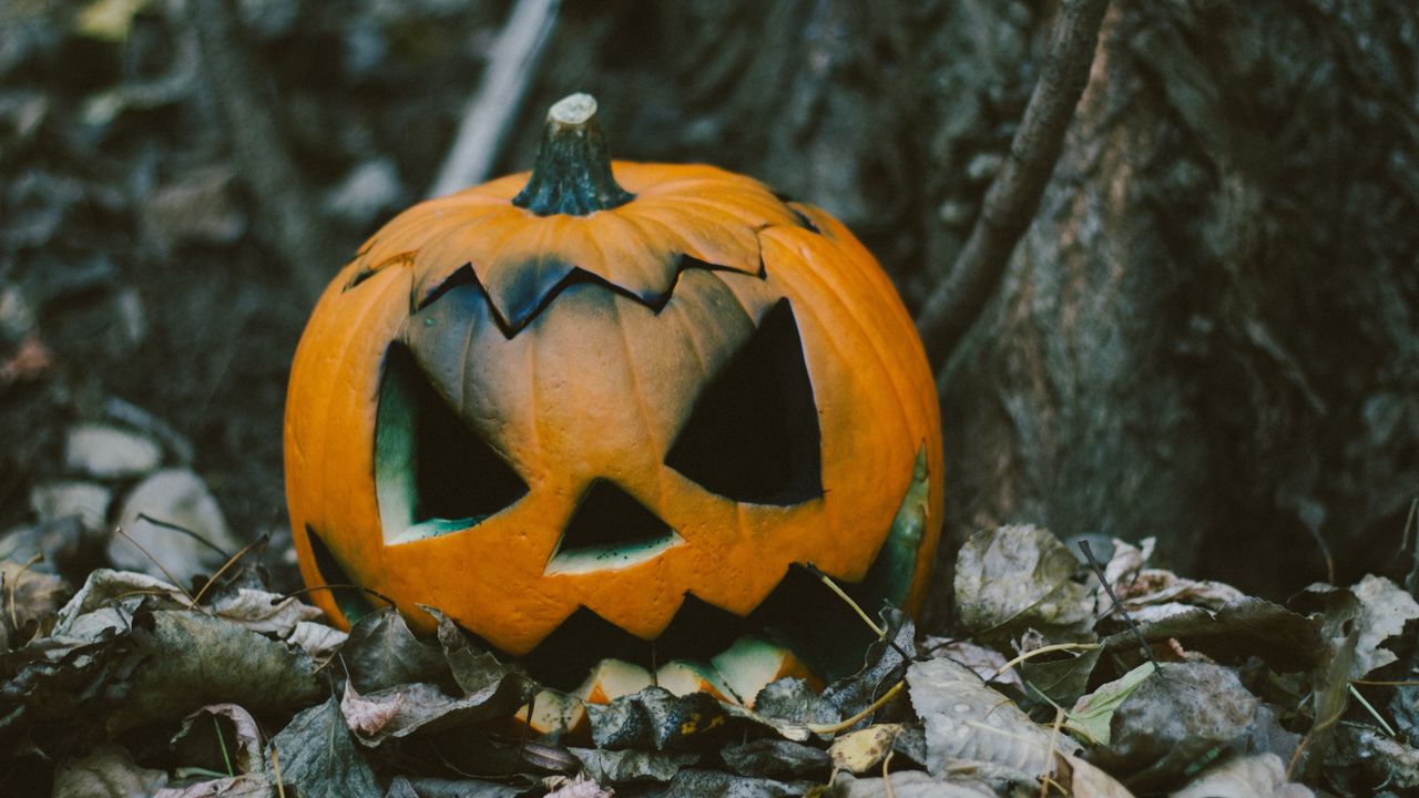 Wallpaper pumpkin, halloween, leaves, autumn