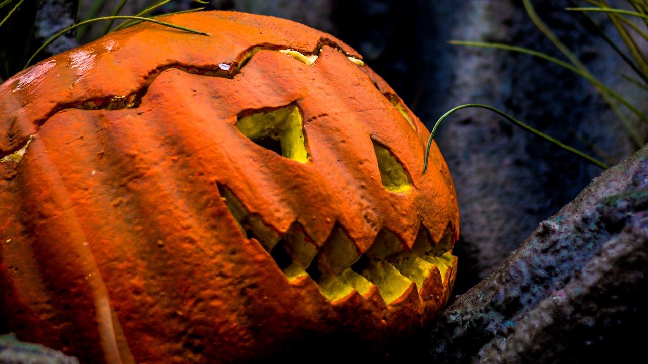 Wallpaper pumpkin, halloween, monster, autumn, scary, holiday