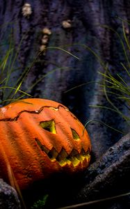 Preview wallpaper pumpkin, halloween, monster, autumn, scary, holiday