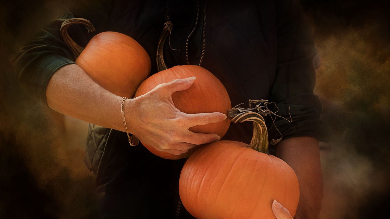 Wallpaper pumpkin, hands, orange, autumn