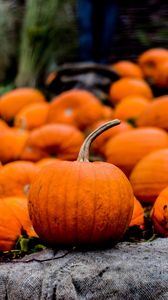 Preview wallpaper pumpkin, harvest, autumn, orange