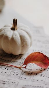 Preview wallpaper pumpkin, leaf, notes, autumn