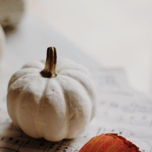 Preview wallpaper pumpkin, leaf, notes, autumn