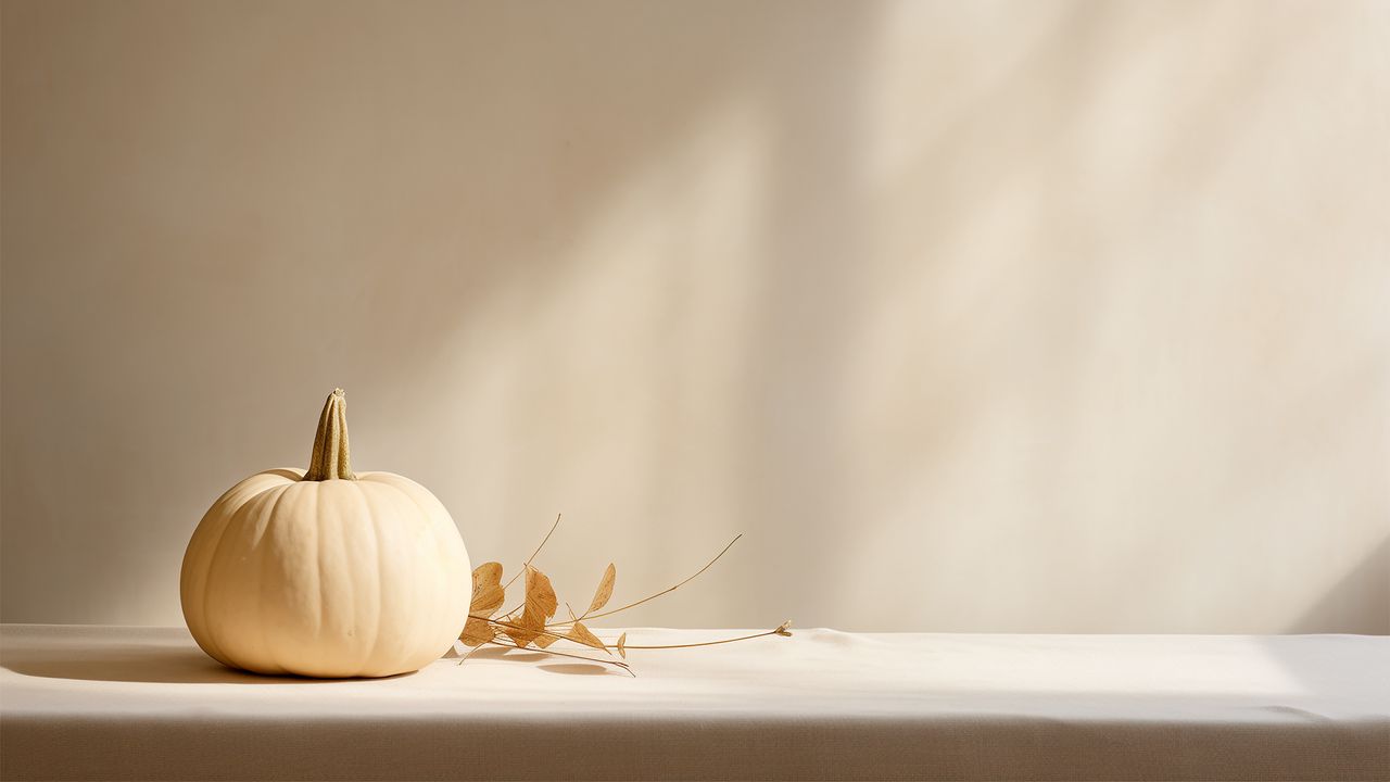 Wallpaper pumpkin, leaves, autumn, white