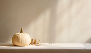 Preview wallpaper pumpkin, leaves, autumn, white