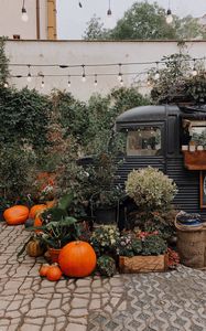 Preview wallpaper pumpkin, plants, truck, decor