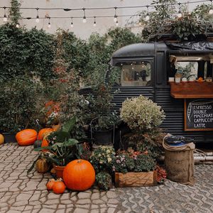 Preview wallpaper pumpkin, plants, truck, decor