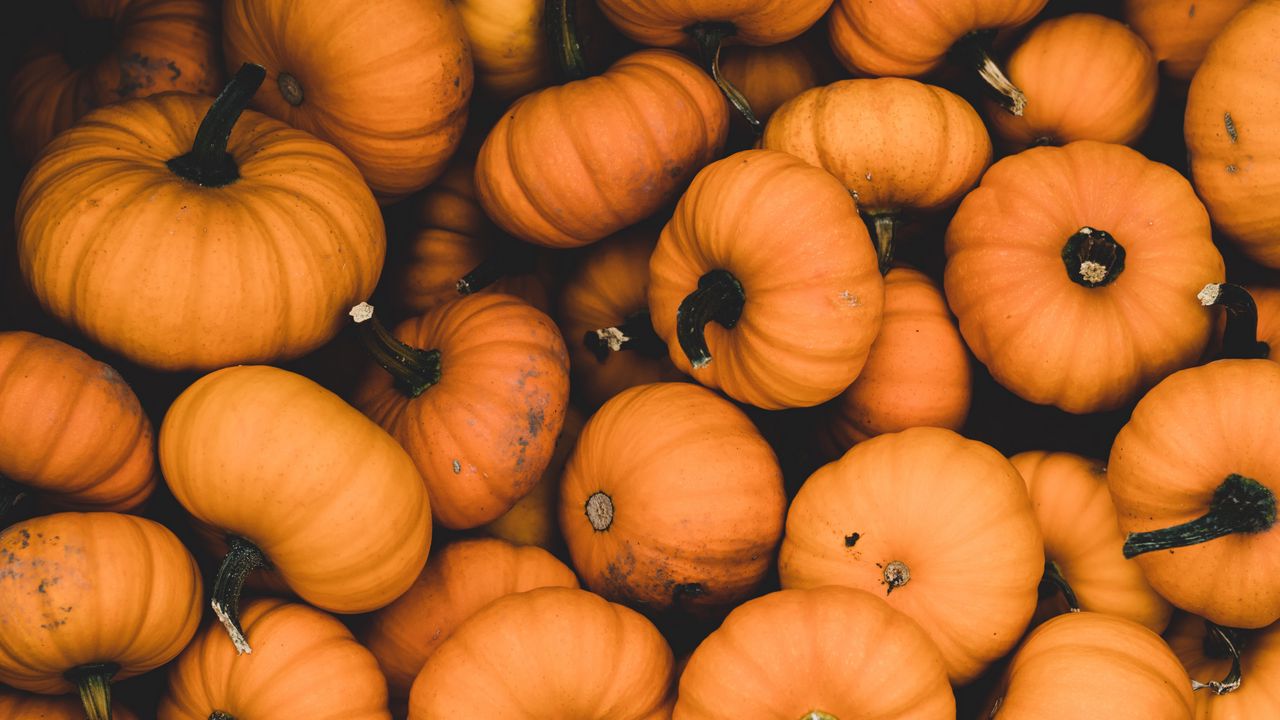 Wallpaper pumpkin, ripe, orange, harvest, autumn