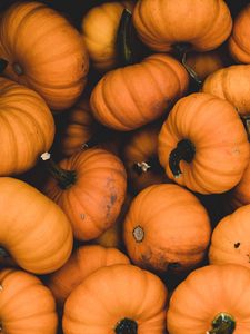 Preview wallpaper pumpkin, ripe, orange, harvest, autumn