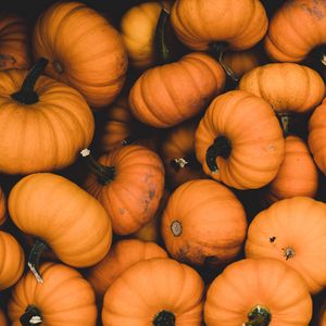 Preview wallpaper pumpkin, ripe, orange, harvest, autumn