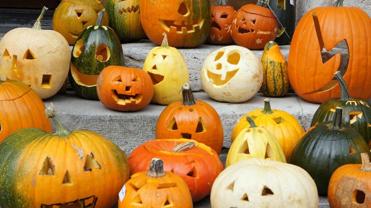 Wallpaper pumpkin, set, halloween, holiday, ladder