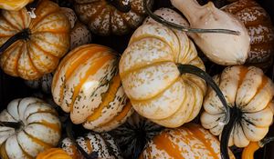 Preview wallpaper pumpkin, vegetable, autumn, halloween