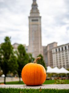 Preview wallpaper pumpkin, vegetable, buildings, blur, autumn