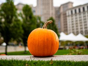 Preview wallpaper pumpkin, vegetable, buildings, blur, autumn