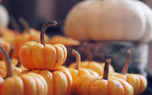Preview wallpaper pumpkin, vegetable, harvest, autumn