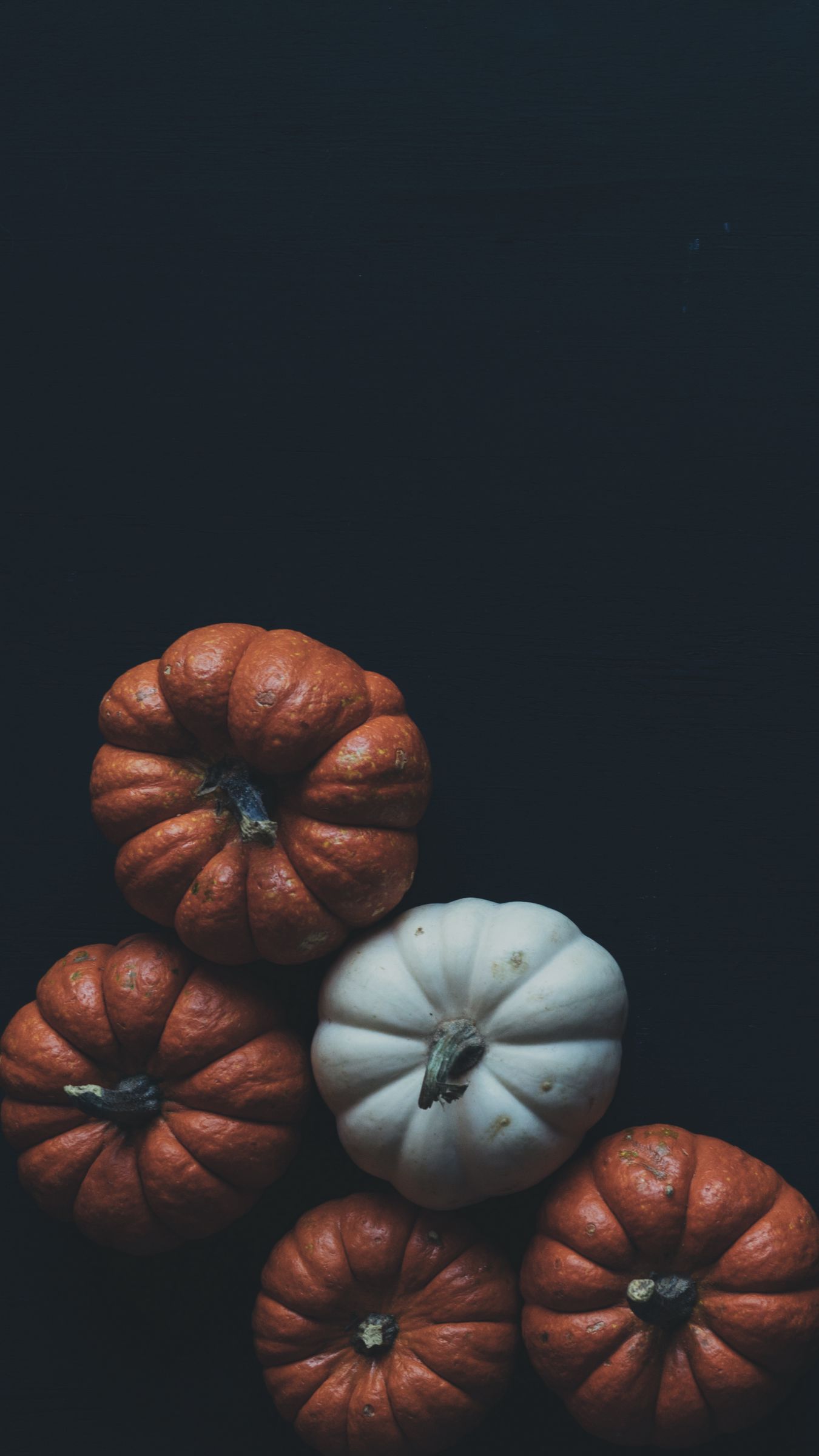 Fall Background Colorful Gourds iPhone Wallpaper  50 Fall iPhone  Wallpapers Thatll Instantly Make You Feel Cozy  POPSUGAR Tech Photo 16