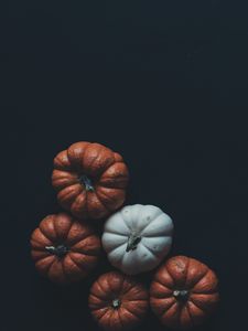 Pumpkin old mobile, cell phone, smartphone wallpapers hd, desktop  backgrounds 240x320, images and pictures