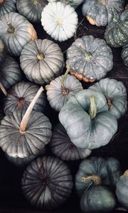 Preview wallpaper pumpkin, vegetables, gray